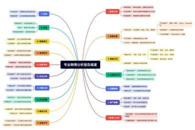 舆情综述论文写作全攻略：理论、方法与案例分析