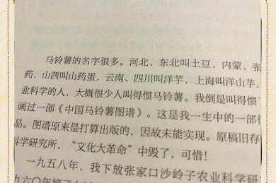 毕业论文马铃薯怎么写