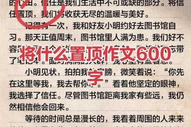 将什么装进行囊议论文