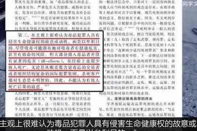 什么罪名好写论文