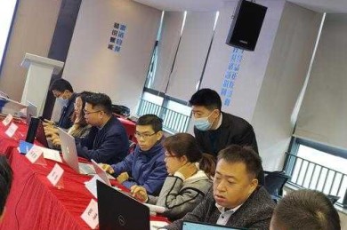 深度剖析与实战指南：论如何推进共同富裕论文