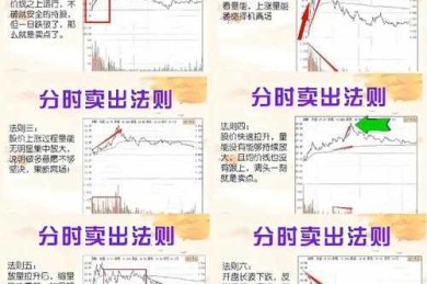 从零开始构建股票投资研究论文：7个实战模块拆解