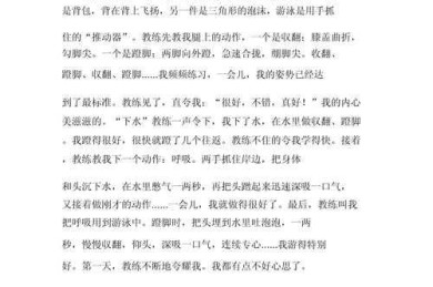 自学蛙泳论文：构建高效研究的艺术