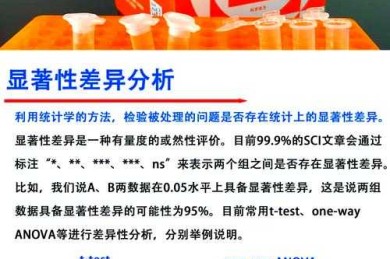 从统计显著性到实际意义：如何让你的效应量解释不再苍白