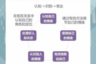 职场情绪管理研究的选题策略：实证研究vs政策分析的双路径探索