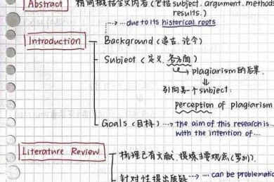 解锁你的学术表达：降低英文论文查重率的多维策略