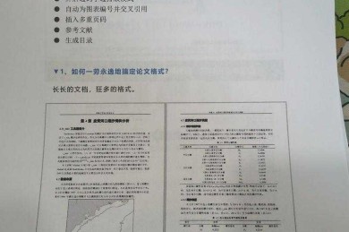 论文序号排版的艺术：从混乱到规范的科学之旅