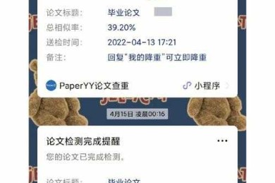 当代码遇上查重：论文代码怎么算重复的底层逻辑与实战指南