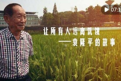 袁隆平论文如何影响中国农业科研范式？从高产杂交稻看学术研究的实践价值