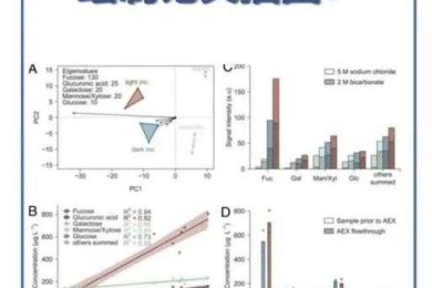 90%的学术新手都忽略的细节：论文图片怎么插才能让投稿通过率翻倍？