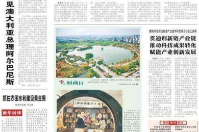 独家干货：深度拆解！如何做好报纸的特刊论文（附模板+避坑指南）