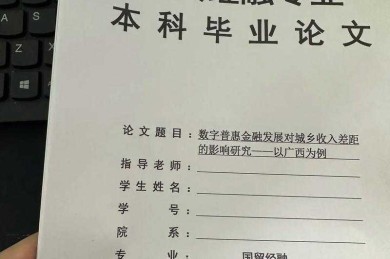 重新审视本科毕业论文：什么样的本科有学位论文才有价值？