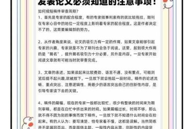 学术发表的时间密码：从博士生到教授的发文节奏全解析