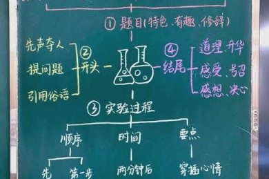当实验遇到论文：解密高中科学小论文怎么写的通关秘籍
