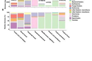 论文表格美学革命：科学配色的四大实用法则
