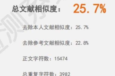 word怎么论文查重