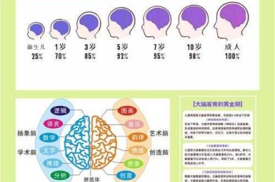 认知神经科学视角：论文专注力的养成策略与实证干预