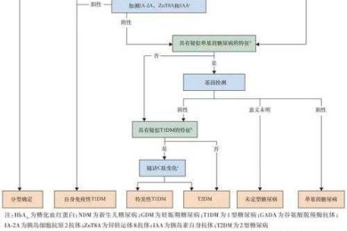 如何照顾糖尿病患者论文：从选题到发表的全流程指南