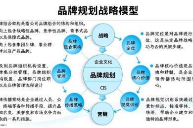 品牌效率提升的学术路径：从理论构建到实践落地