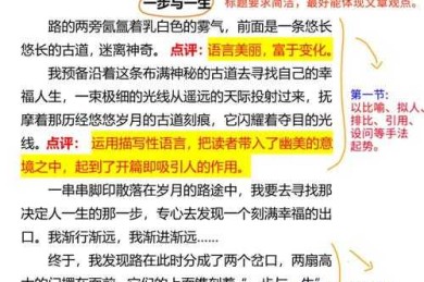 解锁写作潜能：深入探索如何写好议论文作文的终极秘籍