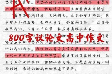 从学术写作视角解析：议论文作文究竟扮演什么角色？
