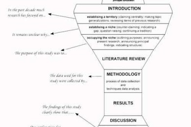 别再叫错了！揭秘“论文英语作者怎么称呼”背后的学术规范与权力结构