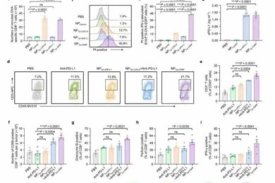 论文图形怎么添色