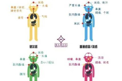 当春运遇上奥密克戎：基于行为科学的春节防疫策略研究