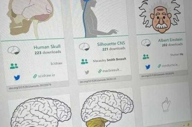 论文插图怎么找文献：一份学术写作者的实用指南