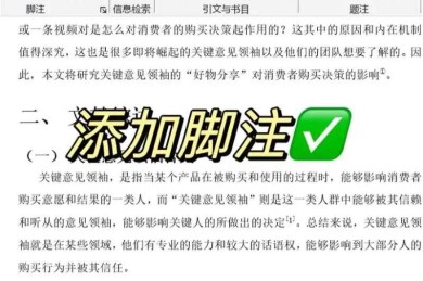 揭秘WPS论文脚注：学术规范与实战技巧全解析