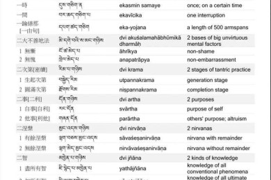 揭秘学术冷知识：论文藏语叫什么语言？你可能从未注意的跨文化细节