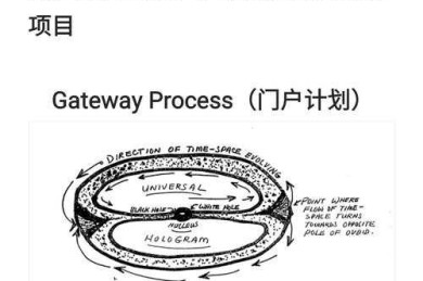 在议论文中修炼情报意识：研究者的秘密武器