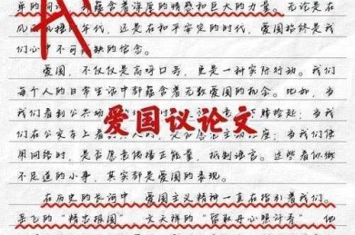 爱国议论文作文怎么写