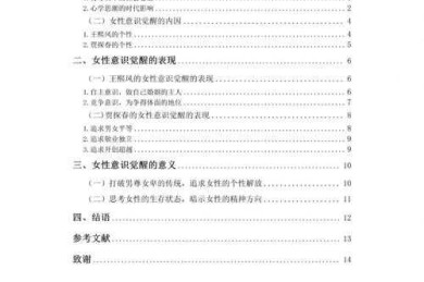 当小说穿上论文的外衣：跨文体创作的解构与重塑