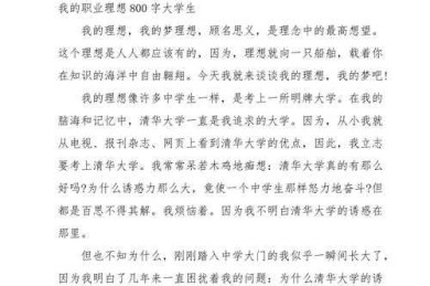 如何实现职业理想论文