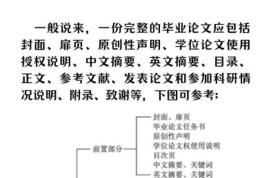 揭示论文的DNA：解密“论文条款是什么”的核心要素