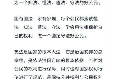 🔥当宪法遇上学术热浪：论文关于什么是宪法的深度探险🔥