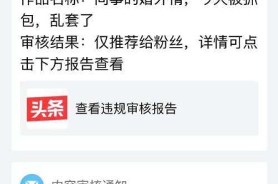 解密学术圈潜规则：论文送审是送什么论文？别再让盲审绊住你！