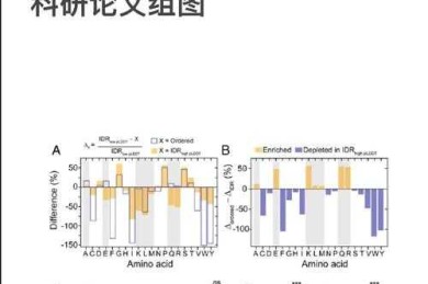 当学术遇上流量：论文圈发生了什么？揭秘研究者们的生存现状