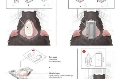 突破创意瓶颈！插画设计怎么写论文——一场学术冒险的完整攻略