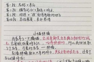 揭秘写作密码：什么是议论文 记叙文，以及如何让它们成为你的超能力