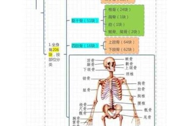 从零开始拆解：一篇合格学术论文的完整骨骼图