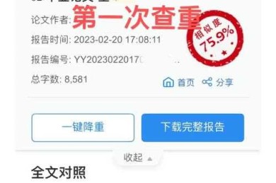 当你的论文查重0会怎么？揭秘学术写作中的隐形陷阱