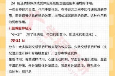 解密学术黑话：什么是精神胚胎论文？从理论到实操全解析