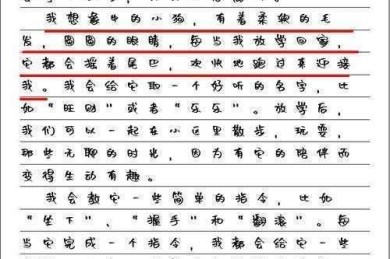 从零到一：宠物之家论文怎么写才能既有温度又有深度？