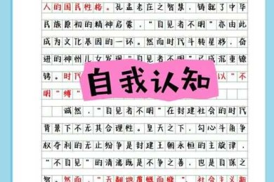从认知失调到自我和解：议论文写作中的身份建构方法论