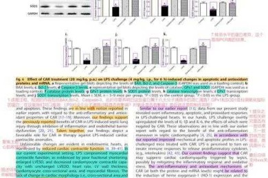 还在为SCI论文讨论部分发愁？这篇“sci论文讨论怎么写”终极指南请收好！