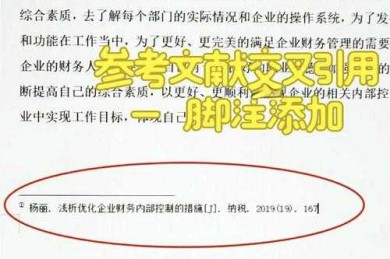 揭秘学术规范：论文中的脚注是什么？这个小细节大作用