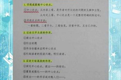 议论文中议论段落的深度剖析与研究应用