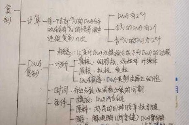 论文要求写什么？拆解学术写作的DNA结构